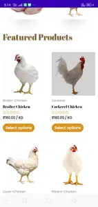 SKChicken screenshot 1