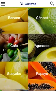 Syngenta Soluciones screenshot 2