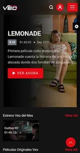 VeoStream screenshot 7