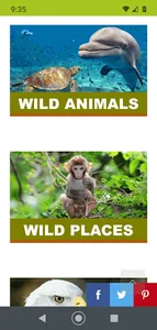 World Animal Foundation screenshot 0