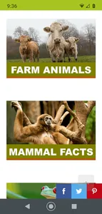 World Animal Foundation screenshot 2