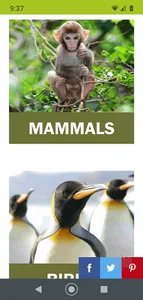 World Animal Foundation screenshot 3