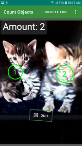 Count Objects screenshot 3