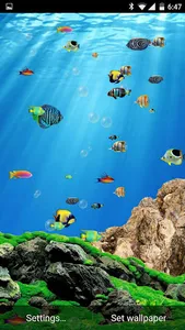 Aquarium Live Wallpaper Touch screenshot 1