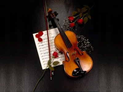Violin Wallpaper screenshot 1
