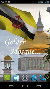 Brunei Flag screenshot 1