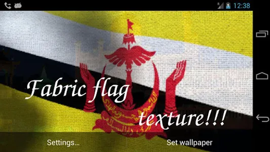 Brunei Flag screenshot 4