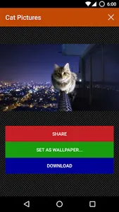 Cat wallpapers and funny pics screenshot 3