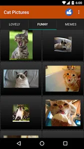 Cat wallpapers and funny pics screenshot 4