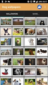 Dog wallpapers and funny pics screenshot 8