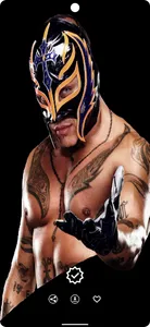 Wrestler Wallpaper-Autochanger screenshot 7