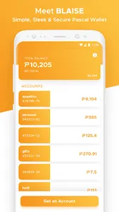 Blaise - Pascal Wallet screenshot 0