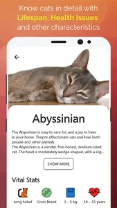 Cats And Dogs-Pet care & Info screenshot 3