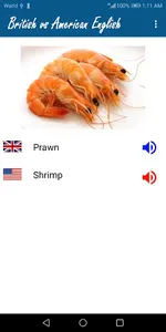 British vs American English screenshot 4
