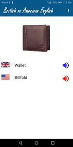 British vs American English screenshot 6