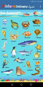 Picture Dictionary English screenshot 6