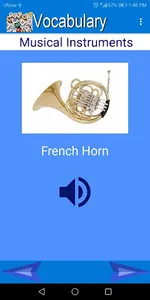 Vocabulary screenshot 4