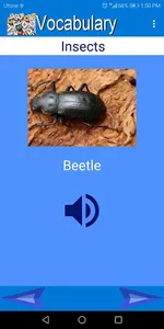 Vocabulary screenshot 5