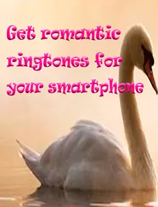 American Ballad Ringtones screenshot 0