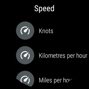 Speedometer for smartwatches screenshot 4