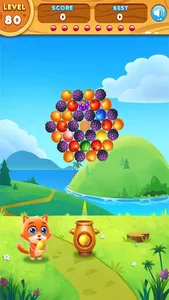 Fruits Shooter screenshot 0