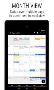 Business Calendar 2 Pro screenshot 13