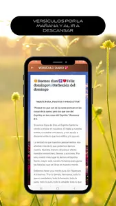 Biblia en español screenshot 11