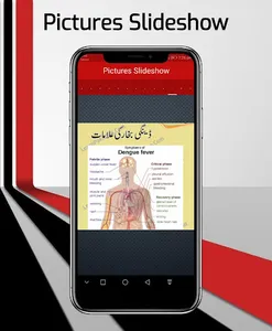 Dengue Resilience screenshot 5