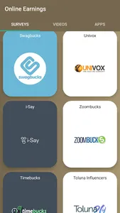 Online Earnings screenshot 3