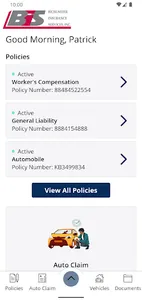 Bichlmeier Insurance Services screenshot 1