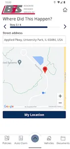 Bichlmeier Insurance Services screenshot 4