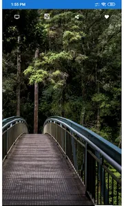 Outdoor Wallpaper screenshot 1