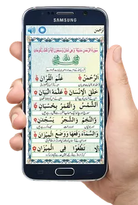 Surah Yaseen - Surah Rehman of screenshot 1