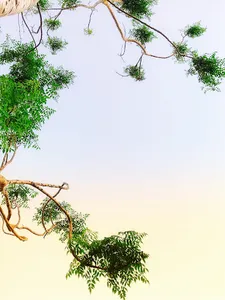 Beautiful Wallpapers screenshot 3