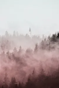 Beautiful Wallpapers screenshot 7