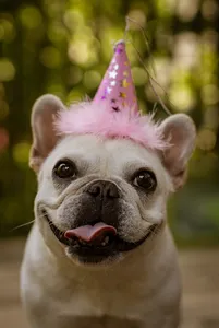 Birthday wallpapers 2022 screenshot 1