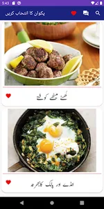 Pakistani Food Recipes In Urdu screenshot 6