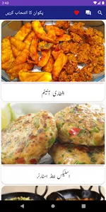 Street Food Recipes In Urdu screenshot 0