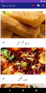 Street Food Recipes In Urdu screenshot 5