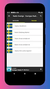 Radio Sweden FM - DAB Radio screenshot 0