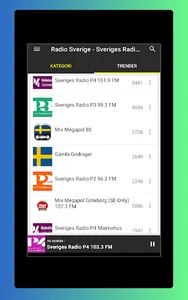 Radio Sweden FM - DAB Radio screenshot 17
