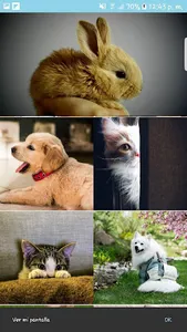PetLove Wallpaper screenshot 0