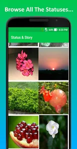 Status & Story screenshot 1