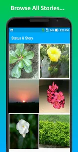 Status & Story screenshot 2