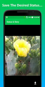 Status & Story screenshot 3