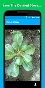 Status & Story screenshot 4