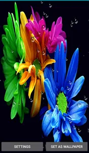 Rain Drops Live Wallpapers screenshot 2