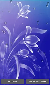 Rain Drops Live Wallpapers screenshot 4