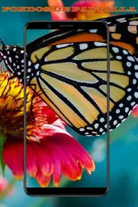 Fondos de Pantalla de Animales screenshot 1