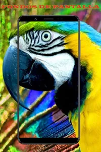 Fondos de Pantalla de Animales screenshot 2